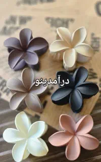 کاردرمنزل