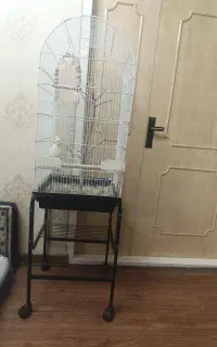 قفس پرنده