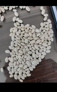 حبوبات