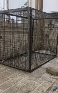 قفس آهنی محکم
