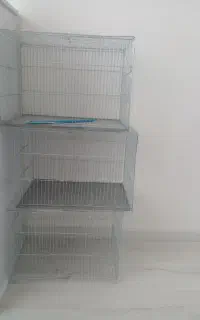 قفس