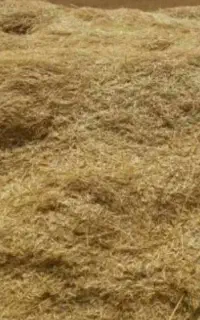 کاه دیم خرد و نرم