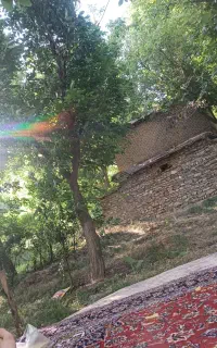 تور آویهنگ و هویه جوانان جمعه