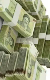 ضامن رتبه B