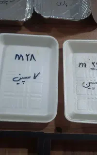 ظروف یکبار مصرف فومی
