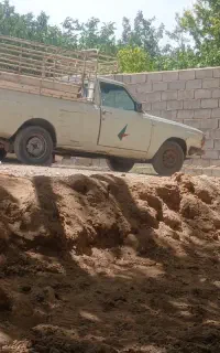 وانت پیکان فروشی