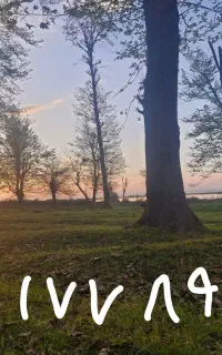 سیمکارت ۱۷۷