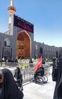 خادم الرضا )