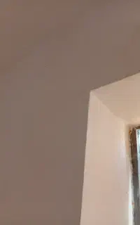 سفیدکار