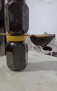 رب آلوی جنگلی