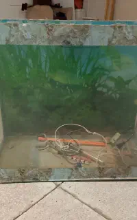 اکواریوم