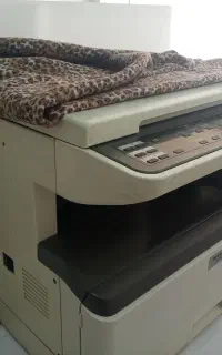فروش دستگاه کپی شارپ مدل AR5516