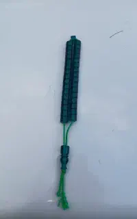 ‌تسبح‌سندلوس‌