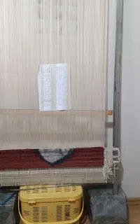 فروش دار قالی با چله ابریشم و نقشه
