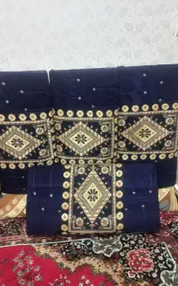 پشتی ودوچرخه ودراور