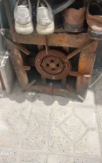 دوعدد پلوپز