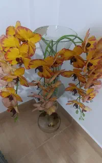 گل وگلدان
