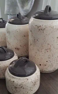 ظروف سرامیکی