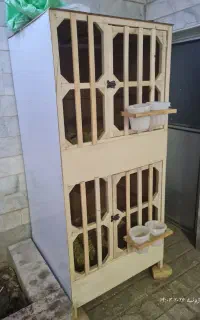 قفس بزرگ چوبی پرنده گنجه لاری