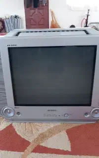 تلویزیون