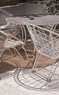 میز باغی