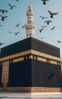 خرید و فروش فیش حج تمتع و عمره