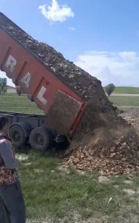 کود مرغی