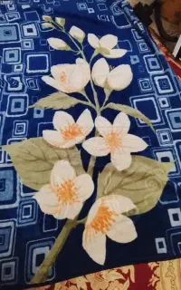 پتو