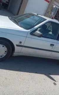 ۴۰۵ تروتمیز