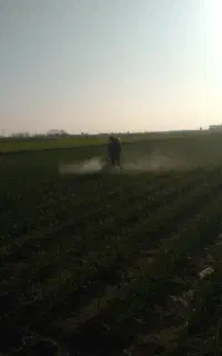 سمپاشی و گوگرد پاشی
