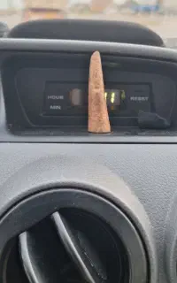 شاخ مار
