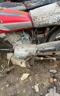 شیرو ۱۲۵ تعداد دارای برگه مزایده