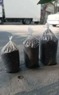 خاک مرغوب‌ مناسب گیاهان اپارتمانی،گلدانی وسبزیکاری