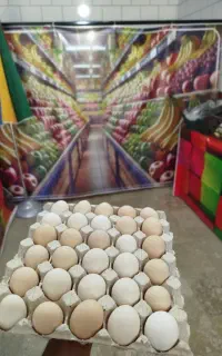 تخم مرغ بلک استار
