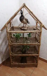 استند چوبی  حصیری