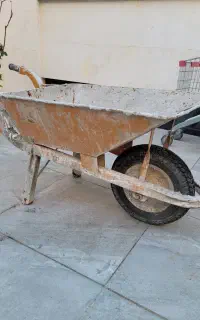 فرغون سالم
