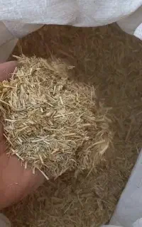 کاه نرم
