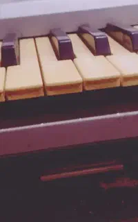 dj اجرای مراسم ارکست و دی جی