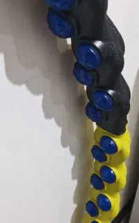 حلقه ورزشی