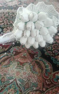 گل عروس