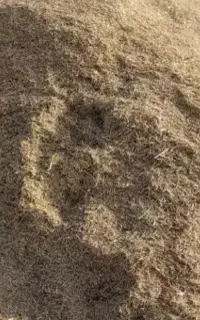 فروش کاه گندم