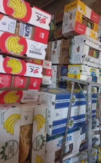 فروش کارتن موزی نو