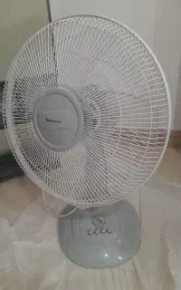 پنکه نانینوا