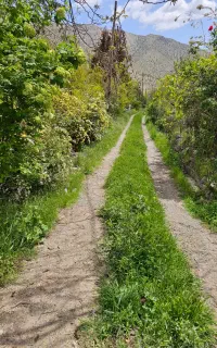 نیازمند کارگر دائم