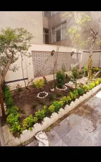خدمات باغبانی از صفر تا صد کاشت تعویضی خاک گلدان