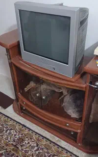 تلویزیون سونی۲۱ اینچ