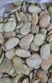 باقله درجه 1(باقالی)