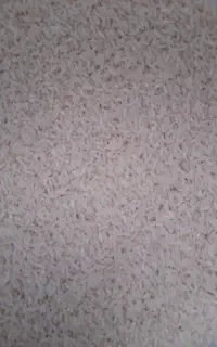 مستقیم از کشاورز کیلویی۴۰۰