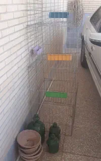 قفس جفت کن کبوتر