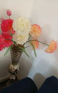 گل گلدان